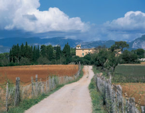 Das Zentrum Mallorcas ist landwirtschaftlich geprägt