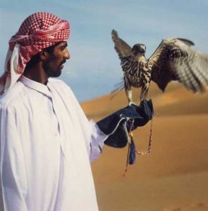 Die Falknerei ist eine beliebte Freizeitbeschäftigung der wohlhabenden Bewohner von Dubai