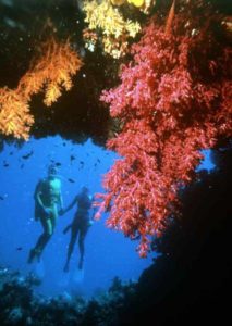Faszienierende Korallenriffe locken Taucher ans Great Barrier Reef