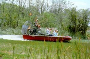 Mit dem Luftkissenboot durch die Everglades