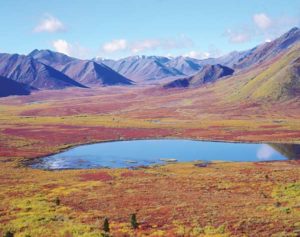 Weite Landschaft des Yukon