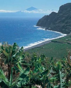 Bananenplantagen bei Hermigua reichen bis an die Küste