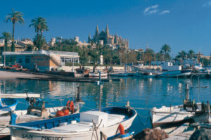 Idylle im Hafen Palmas vor der Kulisse der mächtigen Kathedrale Sa Seu