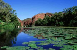 In Australien gibt es zahlreiche Nationalparks