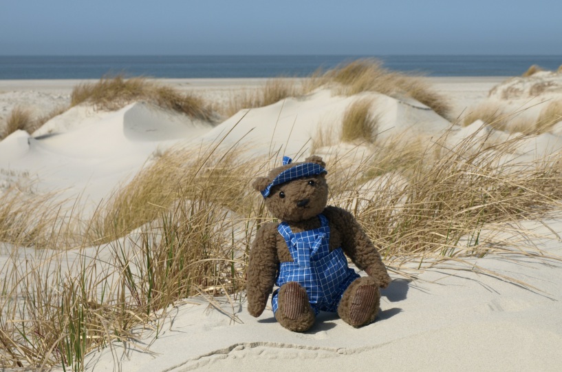 Auch ein Teddy braucht mal Urlaub