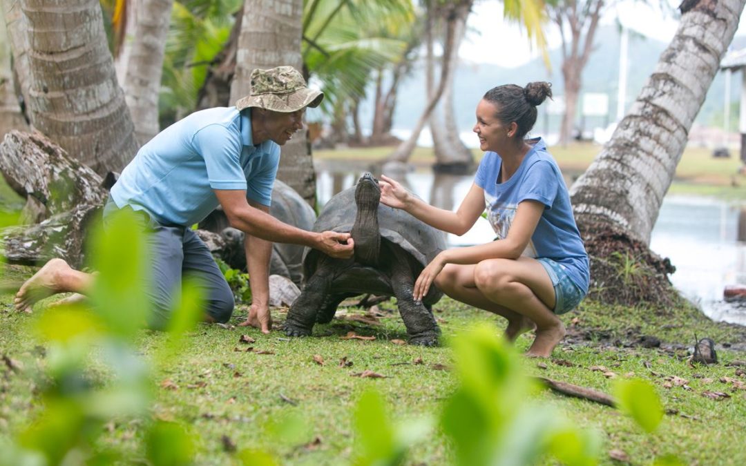 Raffles Seychelles bietet einen Tag mit Riesenschildkröten