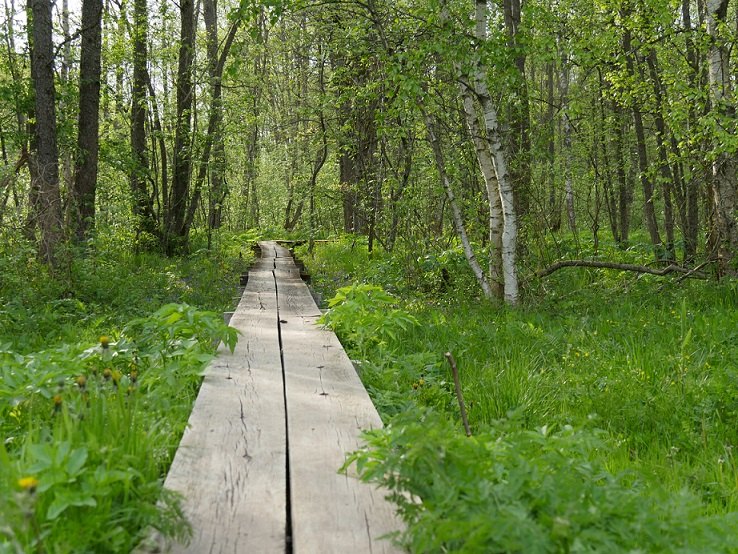 Natur- und Erlebnisroute an der Küste Estlands