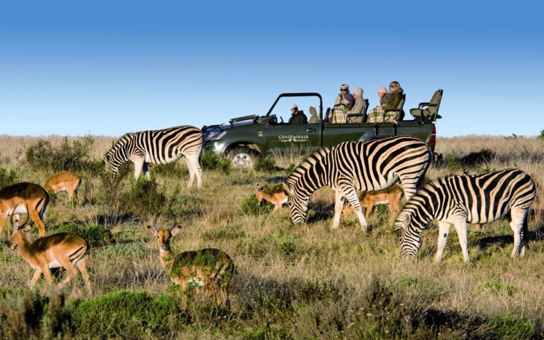 Authentische Ranger-Erlebnisse im neuen FTI Afrika-Programm