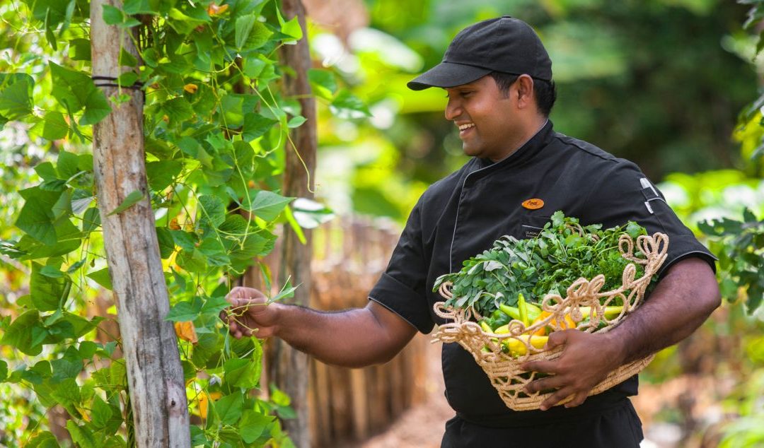 Ulagalla – Modellobjekt für nachhaltigen Luxustourismus auf Sri Lanka