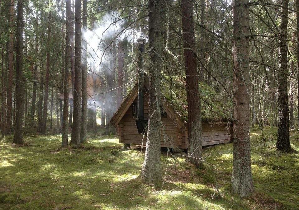 „Waldbad“-Retreat in Östergötland baut Stress ab