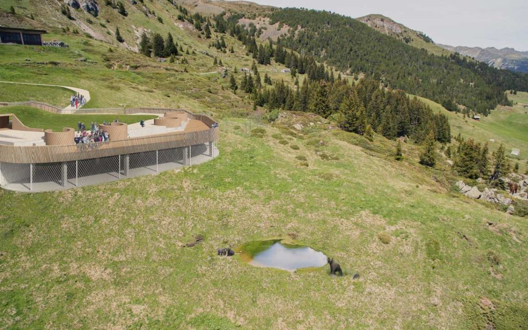 Erstes Schweizer Bärenschutzzentrum in Arosa