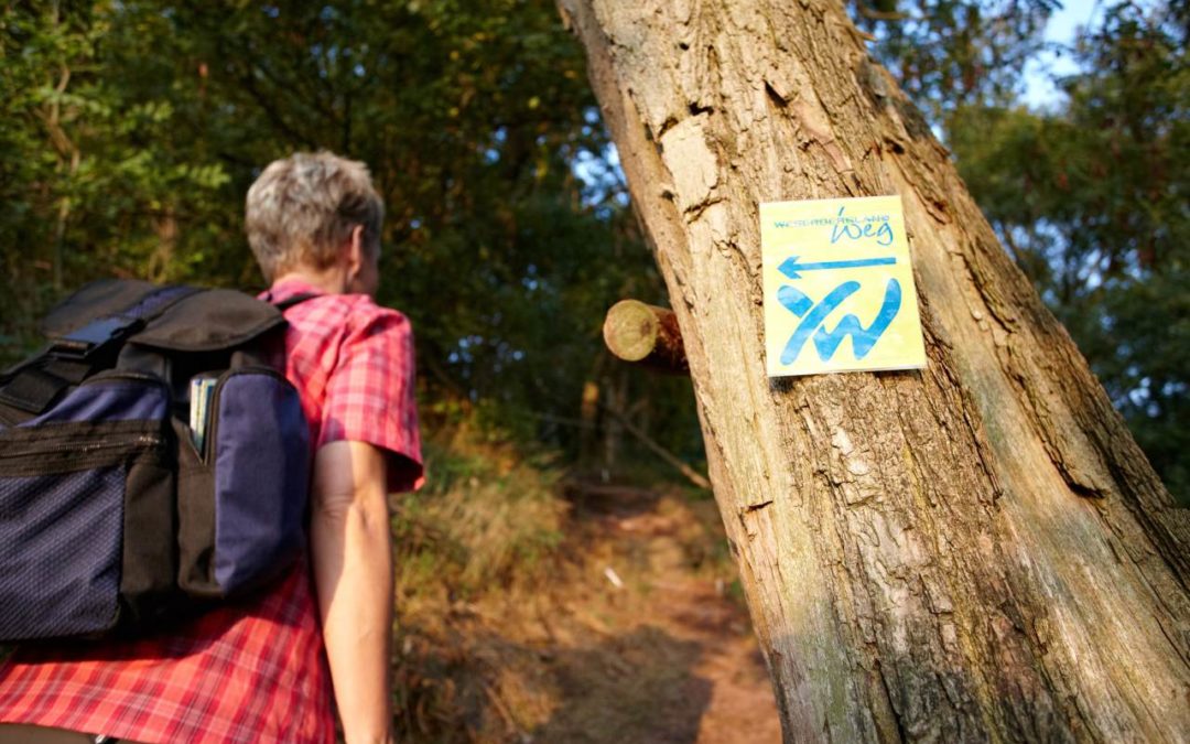 Weserberglandweg nach Beseitigung von Sturmschäden wieder begehbar