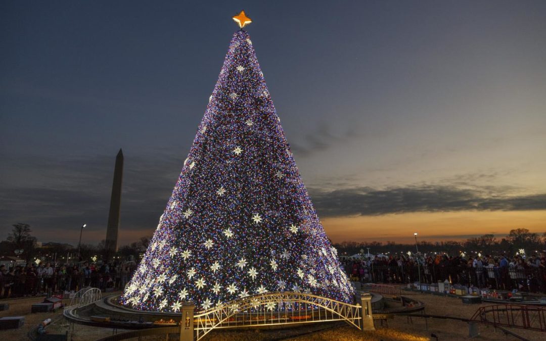 Traditioneller Weihnachtsbaum im Ellipse Park am Weißen Haus