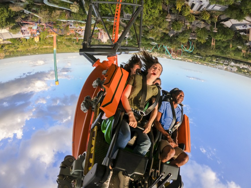 Katapult-Achterbahn TIGRIS in Busch Gardens Tampa Bay