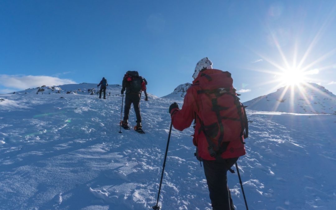 Entdeckungstouren auf Schneeschuhen durch Lappland und die Lofoten