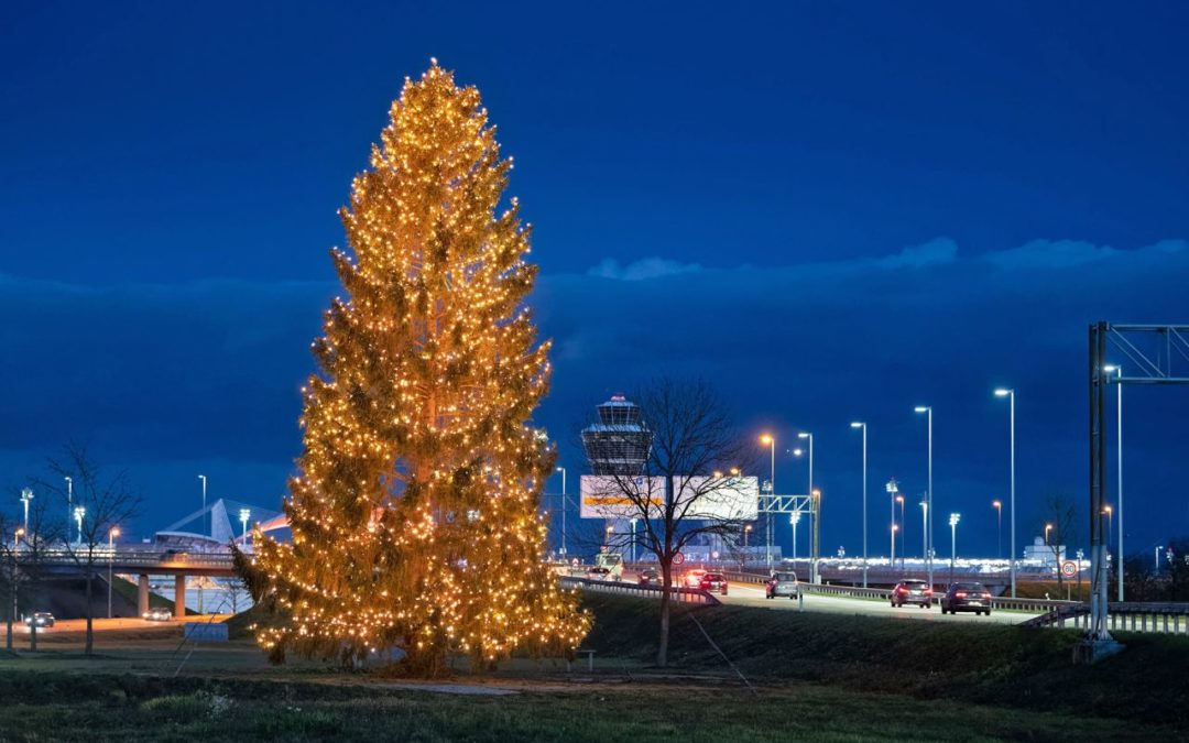 19 Meter hoher Weihnachtsbaum am Flughafen München