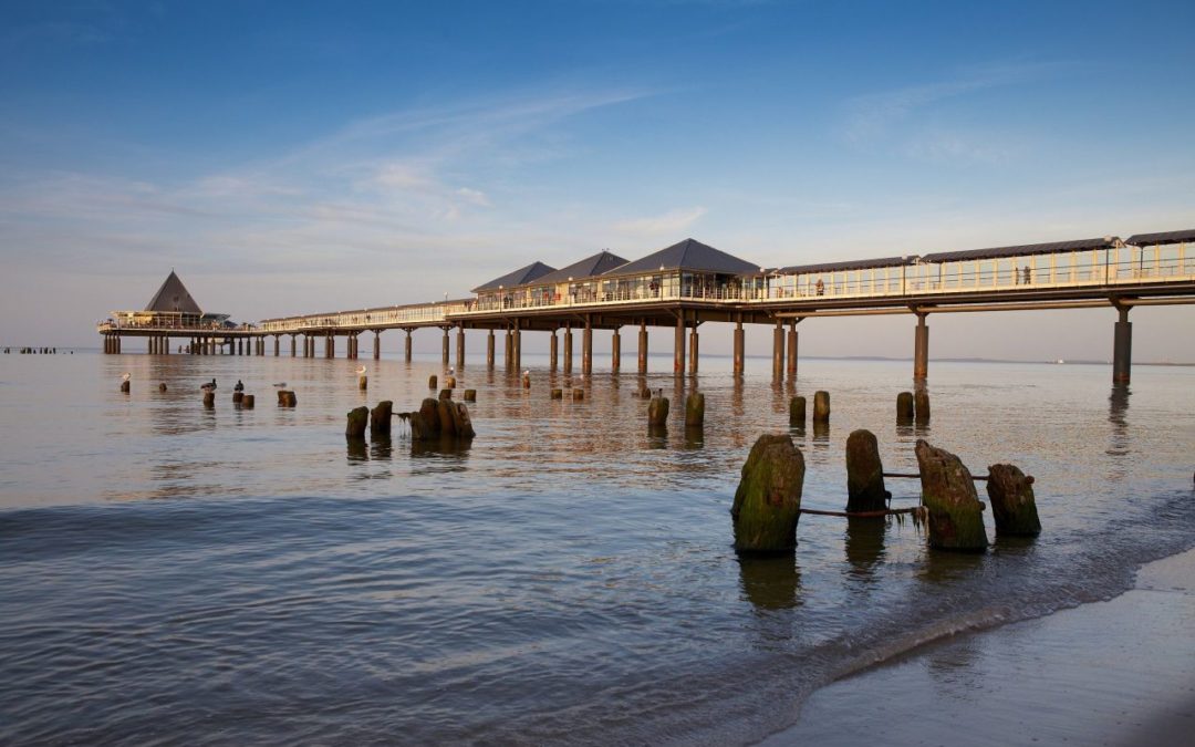 Usedom: Neuer Baumwipfelpfad in Heringsdorf geplant