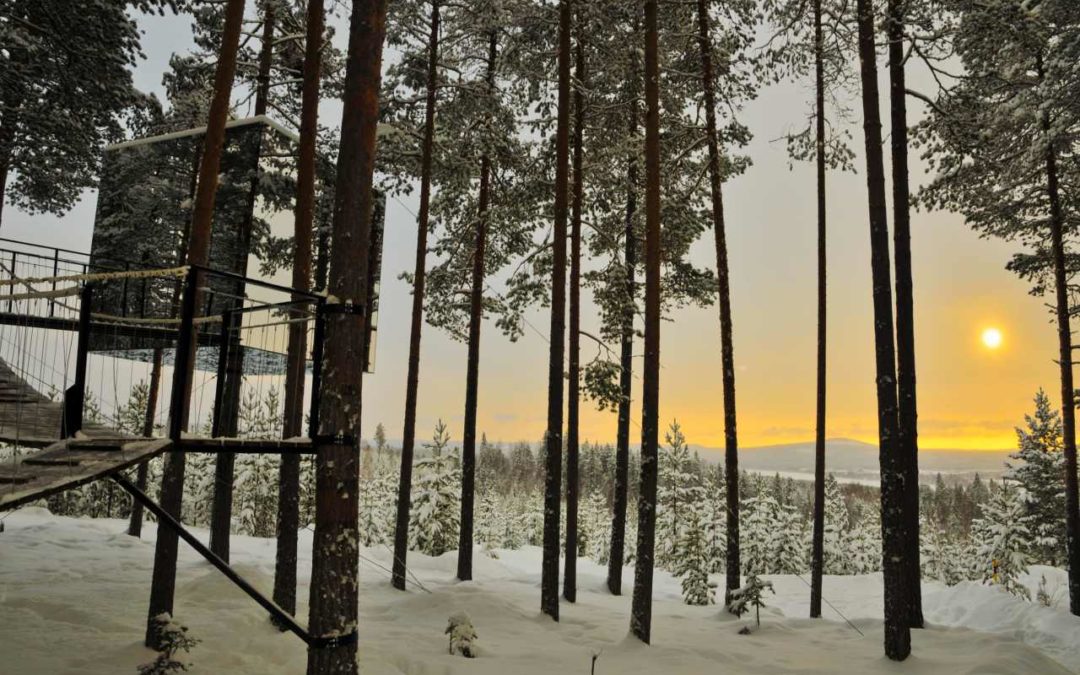 Treehotel in Schwedisch Lappland bestes Themahotel weltweit 2019