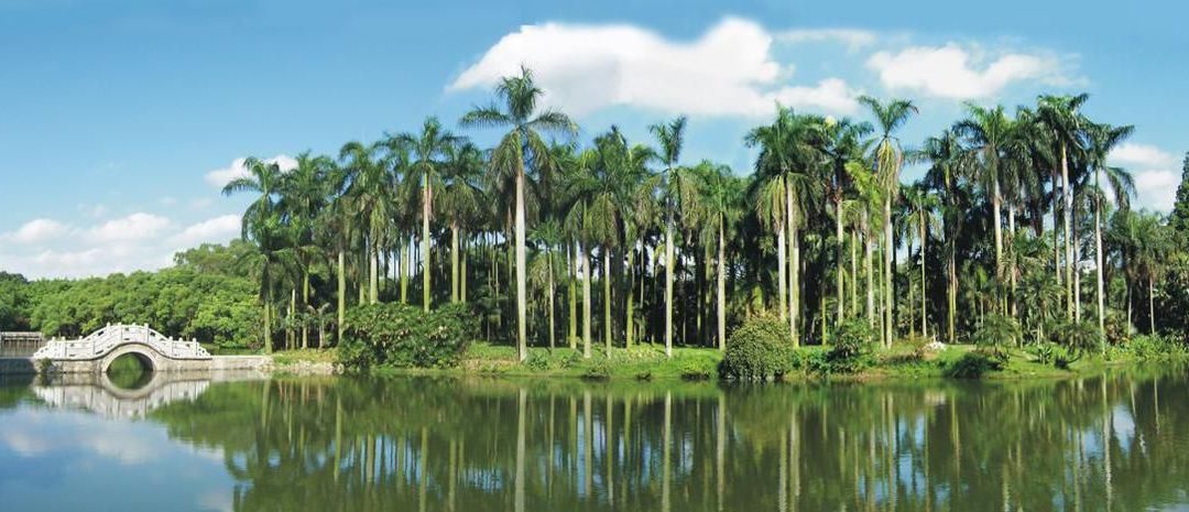 Zweiter nationaler botanischer Garten in China eröffnet