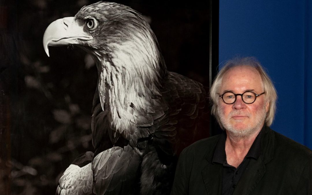 Ausstellung „Aves“ bei Kunst am Gate am Hamburg Airport