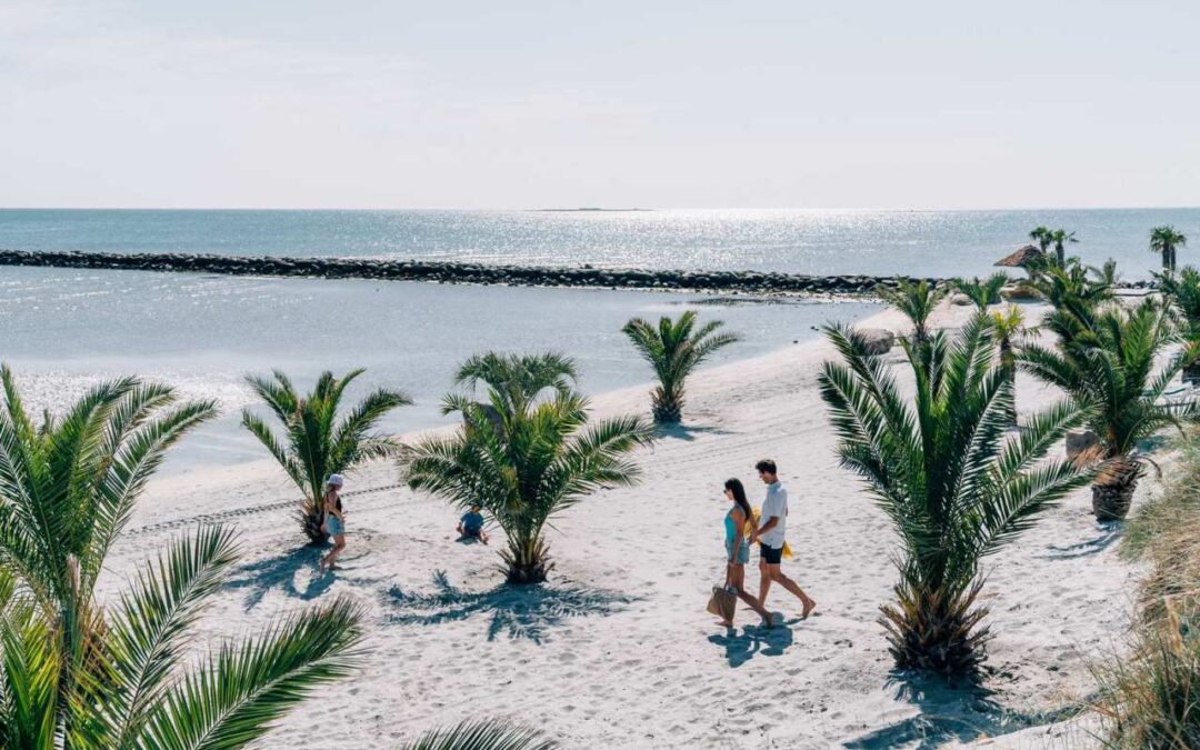 Palmenstrand von Frederikshavn eröffnet Saison 2024